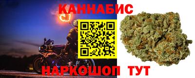 винт Донецк