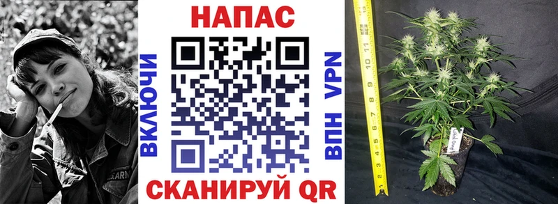 Шишки марихуана Ganja  Бутурлиновка 